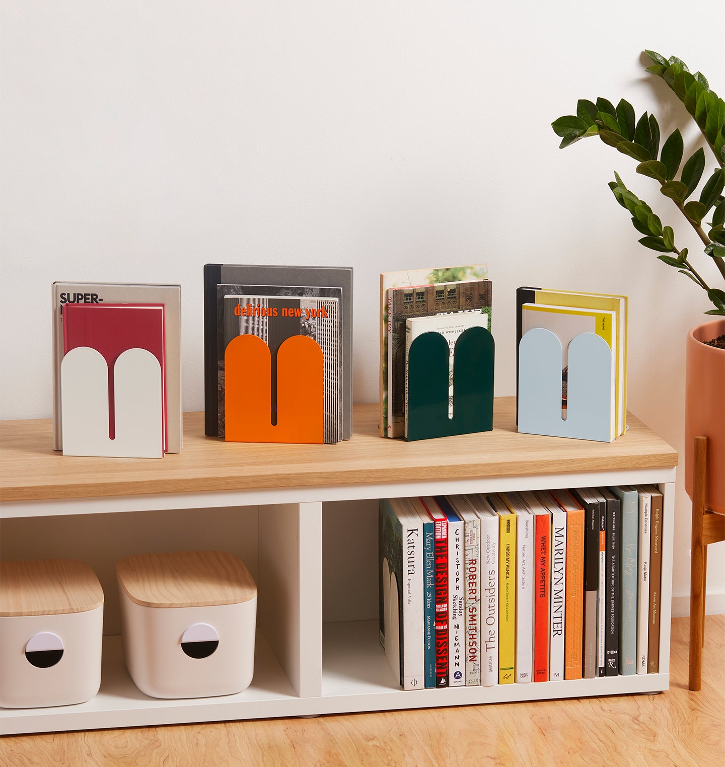Different colored Tortuga Bookends displayed on a wooden bookshelf with boks.