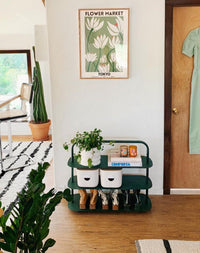 OS Dark Green Entryway Rack displayed in a living room setting. 